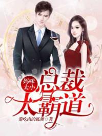 小妈咪总裁的逃妻完整版