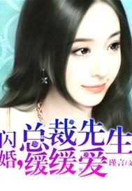 闪婚先生是总裁免费阅读
